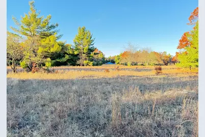 12.86Ac Barberry Avenue, Newaygo, MI 49337 - Photo 12