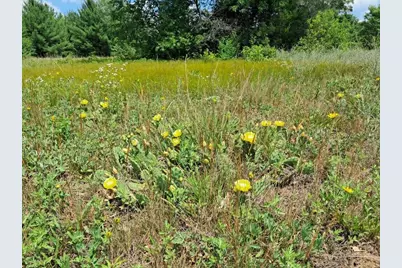 10.01Ac Barberry Avenue, Newaygo, MI 49337 - Photo 4