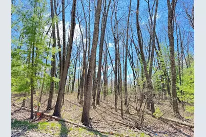 0 W Franklin Street, Bitely, MI 49309 - Photo 8