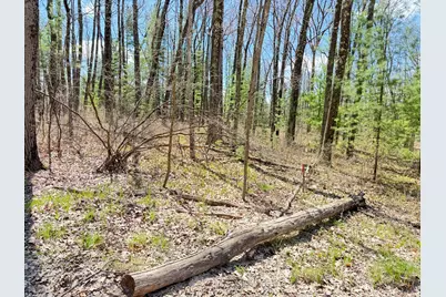 0 W Franklin Street, Bitely, MI 49309 - Photo 10