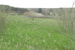 S Lakeshore Dr S, Ludington, MI 49431 - Photo 6