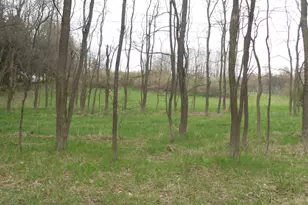 S Lakeshore Dr S, Ludington, MI 49431 - Photo 2