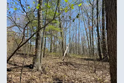 E Dennis Drive, Walkerville, MI 49459 - Photo 4