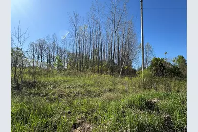 Lot C Stoney Lane, Eaton Rapids, MI 48827 - Photo 2