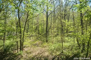 6050 Grand River Dr NE, Ada, MI 49301 - Photo 8