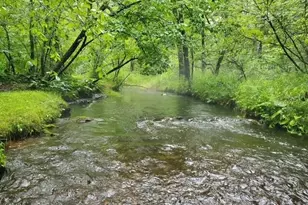 1977 E 40th St, White Cloud, MI 49349 - Photo 2