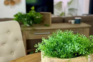 524 S Mears Ave, Whitehall, MI 49461 - Photo 14