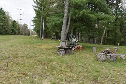 00 S Ever Blooming Drive, Baldwin, MI 49304 - Photo 6