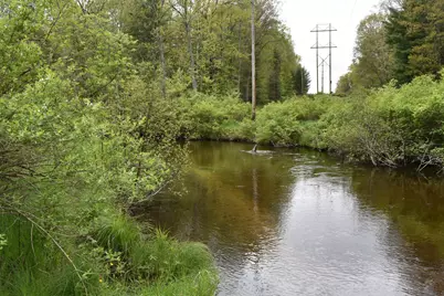 00 S Ever Blooming Drive, Baldwin, MI 49304 - Photo 2