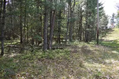 00 S Ever Blooming Drive, Baldwin, MI 49304 - Photo 18