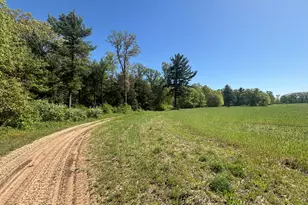 3396 Dagen Rd, Twin Lake, MI 49457 - Photo 52