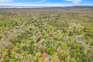 4900 N Railroad Ave, Pentwater, MI 49449 - Photo 28