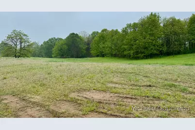 Parcel 2 Leaf Lane, Freeport, MI 49325 - Photo 8
