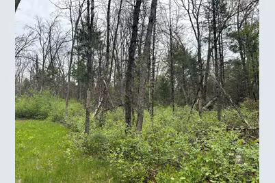 6986 W Baldwin Road, Baldwin, MI 49304 - Photo 8