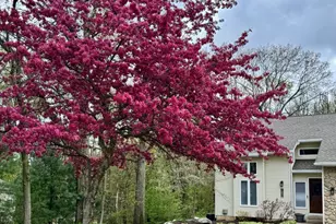 7052 Baton Rouge, Kalamazoo, MI 49009 - Photo 24