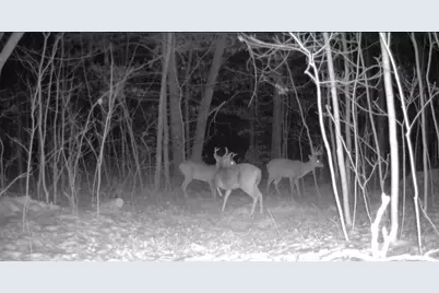 22903 Waterwheel Drive, Pierson, MI 49339 - Photo 4