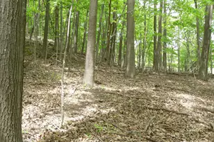 S Lakeshore Dr, Ludington, MI 49431 - Photo 4