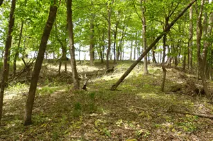 S Lakeshore Dr, Ludington, MI 49431 - Photo 6