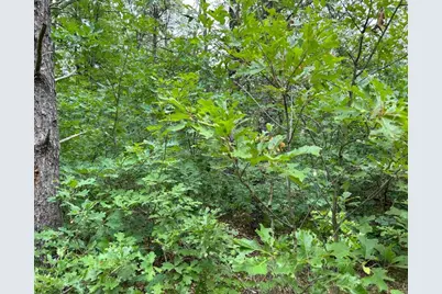 V/L W Lake Murray Street, Baldwin, MI 49304 - Photo 2