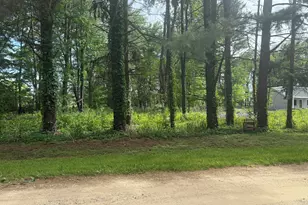 V/L Lot D Rawson Ln, Vicksburg, MI 49097 - Photo 1