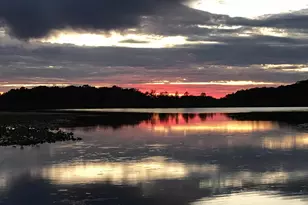 51156 Maple Rd, Marcellus, MI 49067 - Photo 4