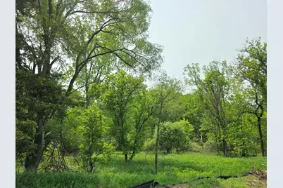 V/L Lot 5 S State Street, Stanton, MI 48888 - Photo 2