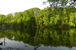 558 Swan River Dr, Benton Harbor, MI 49022 - Photo 34