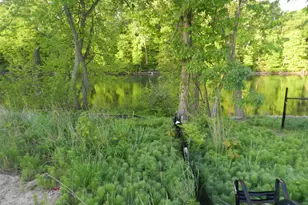 558 Swan River Dr, Benton Harbor, MI 49022 - Photo 36