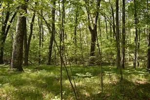 2186 88th St, Bitely, MI 49309 - Photo 8