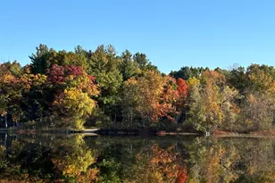 6026 Keeney Rd, Six Lakes, MI 48886 - Photo 20