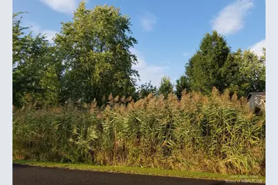 7966 Kingsley Drive, Onsted, MI 49265 - Photo 2