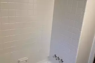 220 W Mosley St, Ann Arbor, MI 48103 - Photo 18