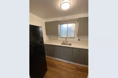 220 W Mosley Street, Ann Arbor, MI 48103 - Photo 6