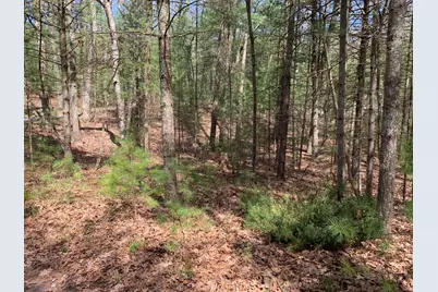 Lenox Avenue, Pentwater, MI 49449 - Photo 2