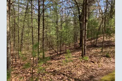 Lenox Avenue, Pentwater, MI 49449 - Photo 1