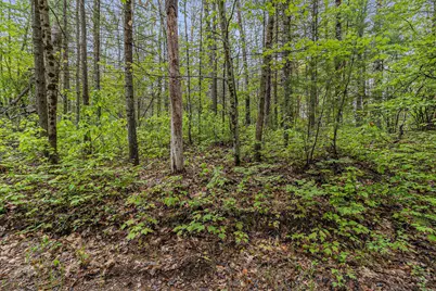 V/L East Pomeroy Springs Rd, Irons, MI 49644 - Photo 12