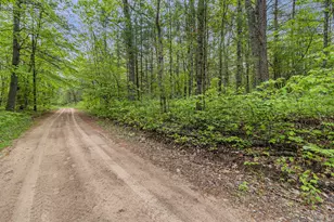 V/L East Pomeroy Springs Rd, Irons, MI 49644 - Photo 16