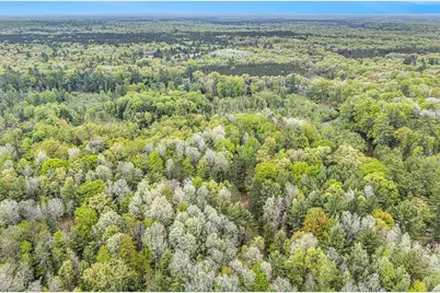 V/L East Pomeroy Springs Rd, Irons, MI 49644 - Photo 22