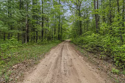 V/L East Pomeroy Springs Rd, Irons, MI 49644 - Photo 10