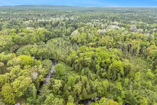 V/L East Pomeroy Springs Rd, Irons, MI 49644 - Photo 20