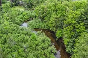 V/L East Pomeroy Springs Rd, Irons, MI 49644 - Photo 6