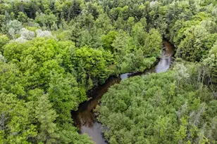 V/L East Pomeroy Springs Rd, Irons, MI 49644 - Photo 2