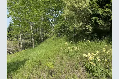 6294 100th Avenue, Evart, MI 49631 - Photo 170