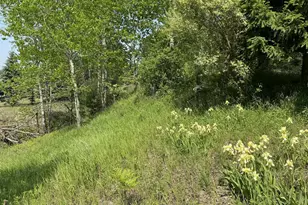 6294 100th Ave, Evart, MI 49631 - Photo 170