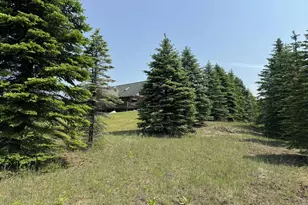 6294 100th Ave, Evart, MI 49631 - Photo 16