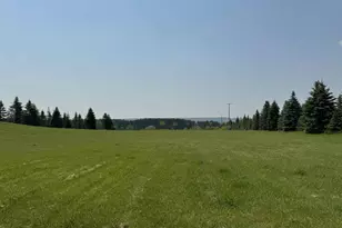 6294 100th Ave, Evart, MI 49631 - Photo 10