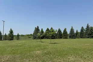 6294 100th Ave, Evart, MI 49631 - Photo 12