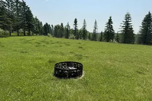 6294 100th Ave, Evart, MI 49631 - Photo 152