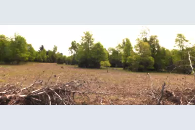 15880 Potter Road #B26.82, Kaleva, MI 49645 - Photo 1