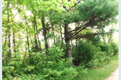 15880 Potter Road #B26.82, Kaleva, MI 49645 - Photo 6
